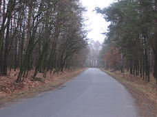 Kampinoski Park Narodowy